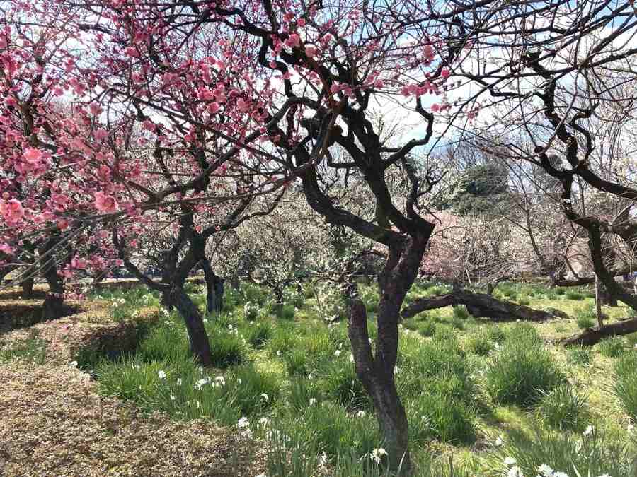 歩いてめぐる東京